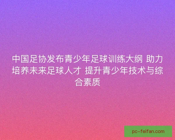 中国足协发布青少年足球训练大纲 助力培养未来足球人才 提升青少年技术与综合素质 中国足协发布青少年足球训练大纲 助力培养未来足球人才 提升青少年技术与综合素质