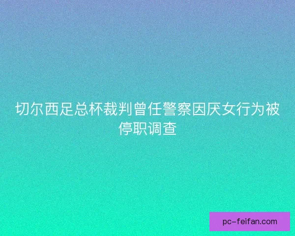 切尔西足总杯裁判曾任警察因厌女行为被停职调查