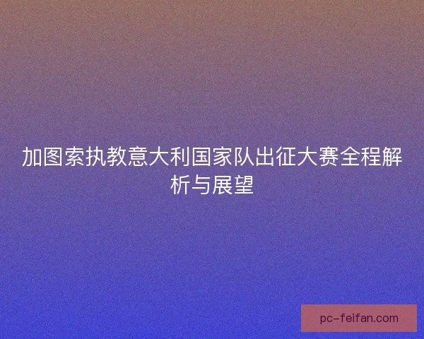 加图索执教意大利国家队出征大赛全程解析与展望 加图索执教意大利国家队出征大赛全程解析与展望